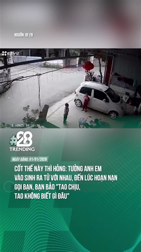 Tình Nghĩa Anh Em Trong Cuộc Sống