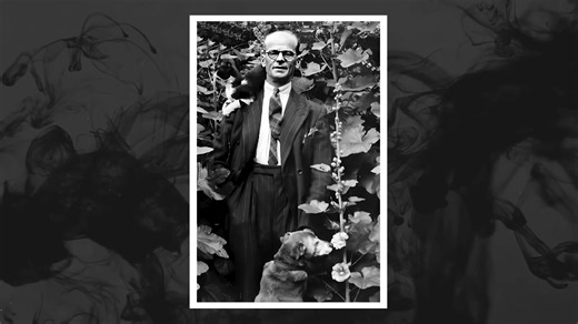 The smell led police to the bodies - story of a London death house