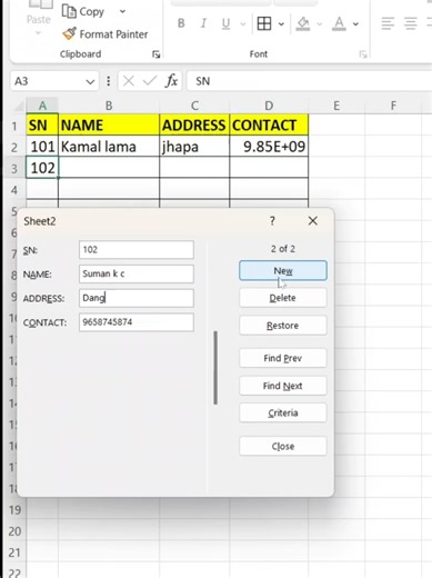 Data Entry Form in Excel