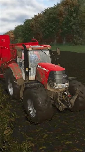 Case IH Puma 160 CVX Stuck in Deep Mud During Potato Harvest