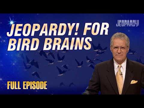 Jeopardy! For Bird Brains | Jeopardy! Full Episode