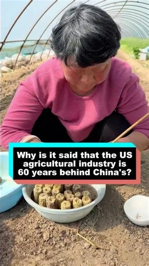 Why is it said that the US agricultural industry is 60 years behind China's? #planting #corn