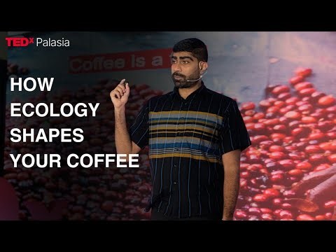 Can A Healthy Forest Ecosystem Determine Your Cup of Coffee? | Pranoy Thipaiah | TEDxPalasia