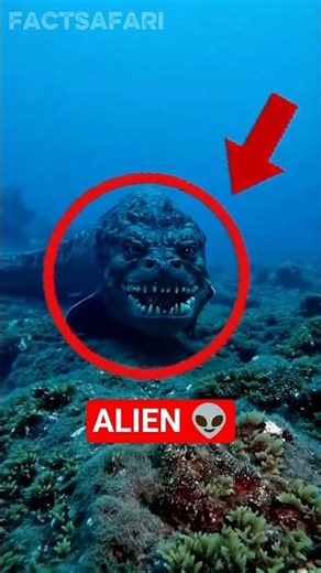 Top 5 Animals That Look Like Aliens (The Last One Will Shock You) #short #Shoebill