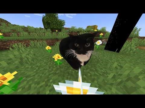 Maxwell the Cat and More (Shadered V1.3.4+ Showcase)