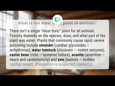 What is the most toxic plant to animals? | Deadly Plants