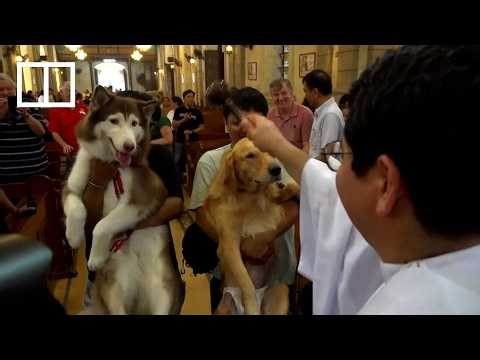 In Manila, pets get their special annual blessing