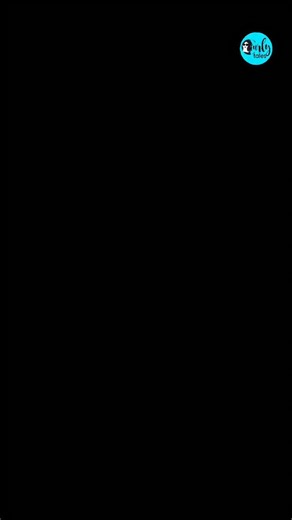 Welcome to Santa Claus Village in Rovaniemi 🎅 Wishing you endless joy and a little Christmas magic ✨ #curlytales #merrychristmas❤️ #santaclaus | Curly Tales