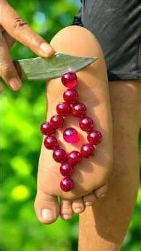 Survival Skills: SMART idea and USEFUL with doctor in forest #buschraft #camping#outdoors