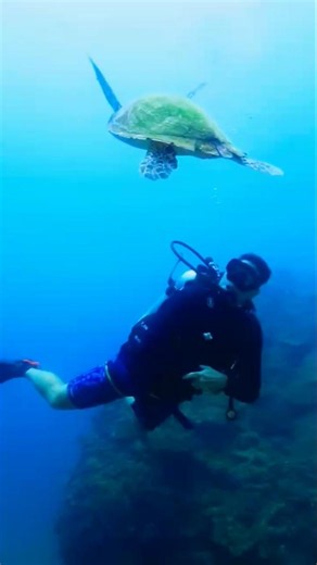 Scuba diving 🤿🥽: Exploring Another World Underwater! 🤿🌊