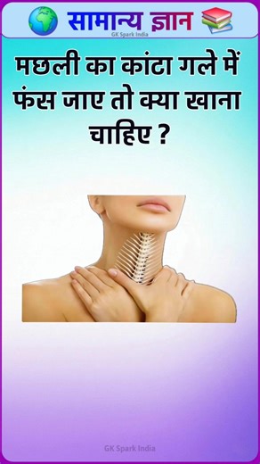 TOP 20 GK questions 🔥📚।। GK question and answer ✍️।। GK Spark India #shorts #gkinhindi