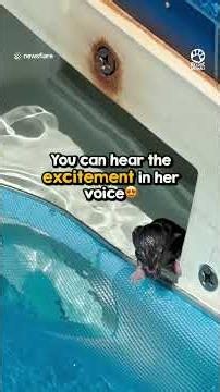 2-Year-Old Rescues Baby Mouse Trapped in Pool 🐭