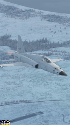 #f5 #aviation #dcsworld #pc #pcgaming #shorts #gaming #youtubeshorts #dcsworld #military