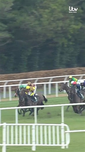 "𝐓𝐇𝐄 𝐒𝐓𝐔𝐅𝐅 𝐎𝐅 𝐋𝐄𝐆𝐄𝐍𝐃𝐒!" 🤩🏆 Can Galopin Des Champs win a FOURTH CONSECUTIVE Irish Gold Cup? 🏆🇮🇪 #ITVRacing | ITV Racing