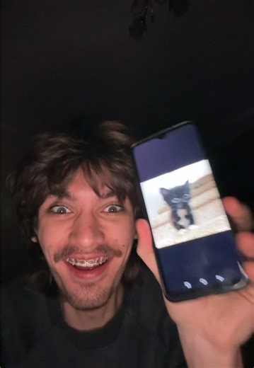 absurdviktora (@absurdviktora)’s videos with dream - Recommend me stuff pls🛐🛐