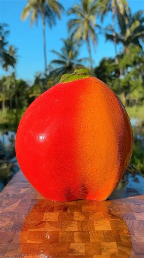 I Can’t Believe This Coconut Exists