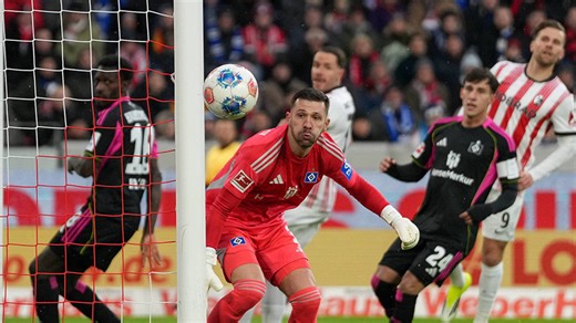 [德甲]第16轮：弗赖堡2-1汉堡 集锦