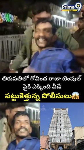 తిరుపతిలో గోవింద రాజా టెంపుల్ పైకి ఎక్కింది వీడే.. పట్టుకెళ్తున్న పోలీసులు| Tirupati Temple Incident