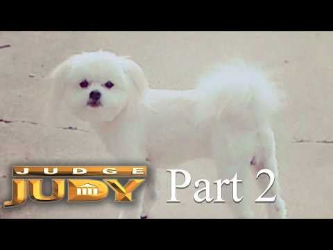 Man Denies Dog Broke Free and Attacked | Part 2