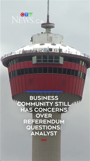Business community still has concerns over referendum questions: analyst