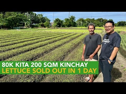 Matuto sa mga Sariling Diskarte ng mga Farmers Paano E-manage ang Taniman at Tauhan!