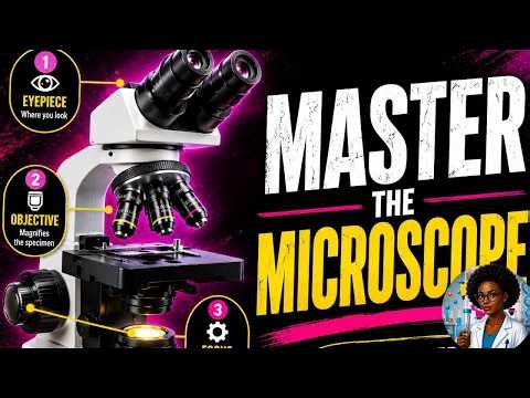 PARTS OF A MICROSCOPE Explained A Complete Beginner's Guide