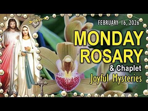 MONDAY Rosary Today & Chaplet | JOYFUL Mysteries Holy Rosary Catholic Prayer, Orchids