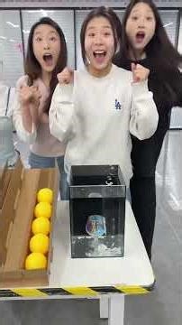 Challenging obstacle course for both men and women: Who's better,