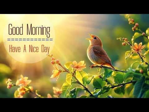 GOOD MORNING MUSIC - Wake Up with Happiness & Harmony - Morning Meditation Music For Stress Relief