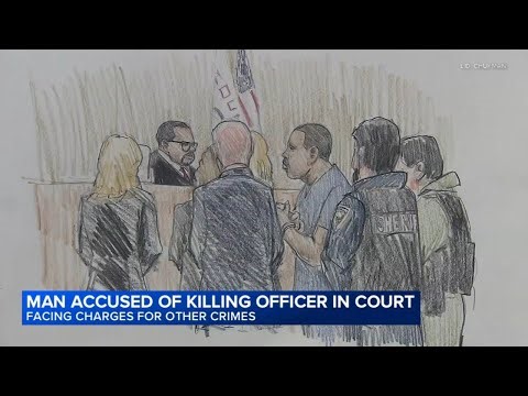 Swedish Hospital shooting: Man faces judge who put him on electronic monitoring before cop's murder