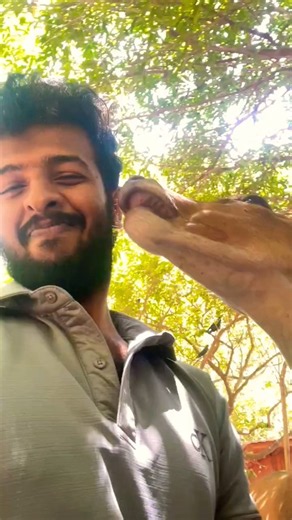 බලන්නකො මේක 🤣❤️🥰 #short #virel #yousee.