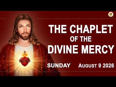 Chaplet Of The Divine Mercy I Sunday August 9 2026 I Daily Divine Mercy Prayer