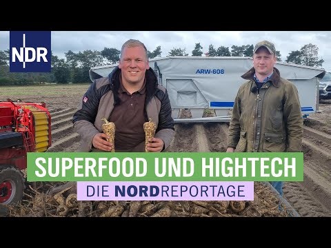 Ackern bis zum Frost - Wintergemüse frisch vom Feld | Die Nordreportage | NDR