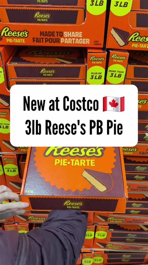 3lb Reese's Peanut Butter Pies just arrived at Costco 🇨🇦! Spotted at Costco Newmarket. These look so good 🤤 you trying it? #CostcoFinds #CostcoCanada #Costcoexclusive