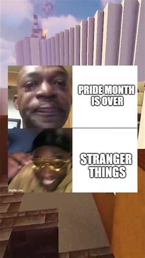 STRANGER THINGS MEMES 22