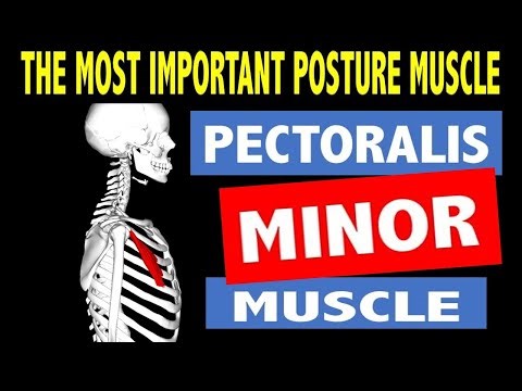 The Negative Health Effects of a TIGHT PECTORALIS MUSCLE and how to stretch it.