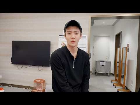 수텔라가 뭔데요