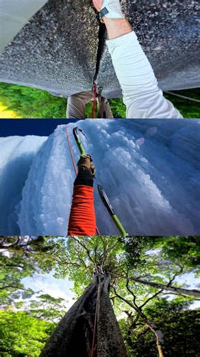 Rock, Ice, or Tree?