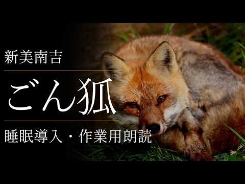 新美南吉『ごん狐』｜朗読・睡眠導入・作業用BGM｜青空文庫【伊織弓鶴】