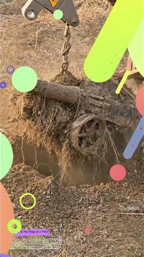 How a Crane Revives a Buried Cannon’s Story#historyunearthed #craneoperation