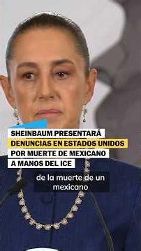 Mexico presenta DENUNCIAS CONTRA EL ICE por MEXICANO MUERTO en redada | EL PAÍS