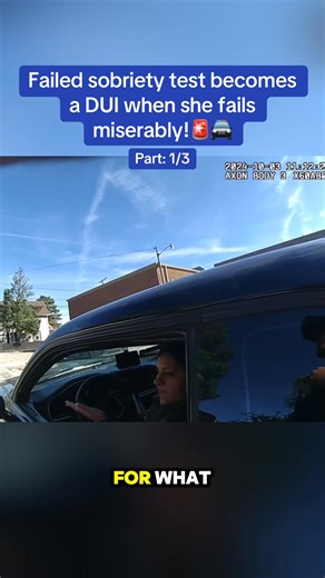 From hit and run to sobriety test to a DUI arrest. Bad day to be this woman! | Dewi dewi