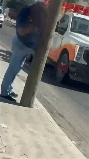 🚨🐝Así captaron el momento en que una mujer fue rodeada y picada más de 200 veces por abejas en Culiacán. La intensidad del ataque fue tal que requirió la intervención urgente del Ejército para poder extraerla de la zona