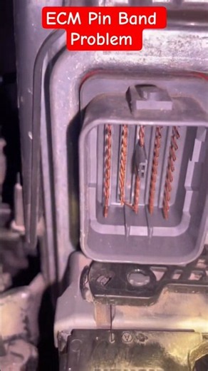 ECM Pin Signal Lost #shortsfeed #automobile #tecnician #mechanic #ytshorts #shorts