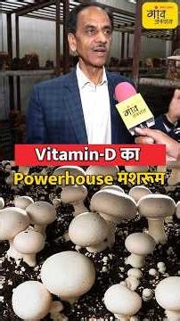 Vitamin-D का पावरहाउस मशरूम | धूप में रखें और दोगुना करें विटामिन-D, जानिए सही तरीका | #shorts