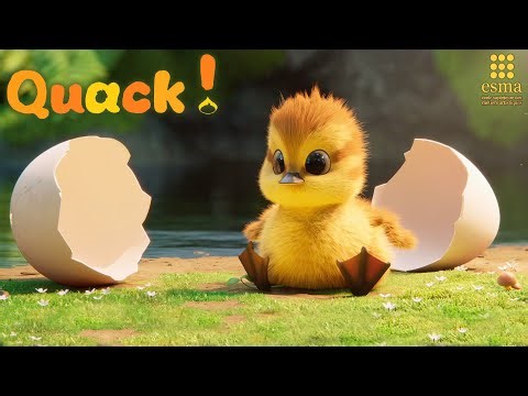 A CGI 3D Short Film: "Quack" - by ESMA | TheCGBros