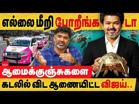 இதான்டா தளபதி ஆட்சி : ஆமை குஞ்சுகளை விடுவிக்க விஜய் ஆணை : அடேய் எல்லை மீறி போறீங்கடா..