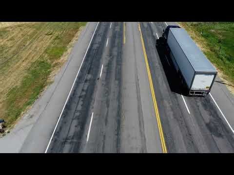 Dead Skunk in the Middle of the Road