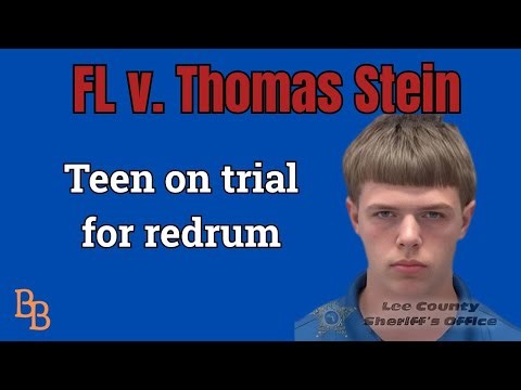 FL v Thomas Stein day 3