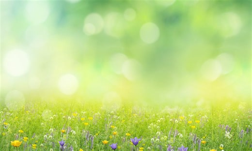 Deep Dive Spring Modulith Part 1: Functional Modules in Focus